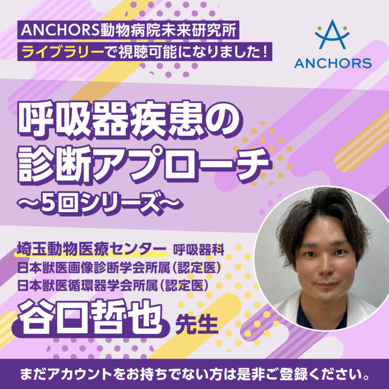 202507_anchors_bnr_v3_02