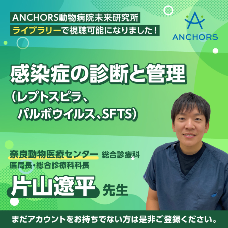 202507_anchors_bnr_v3_03